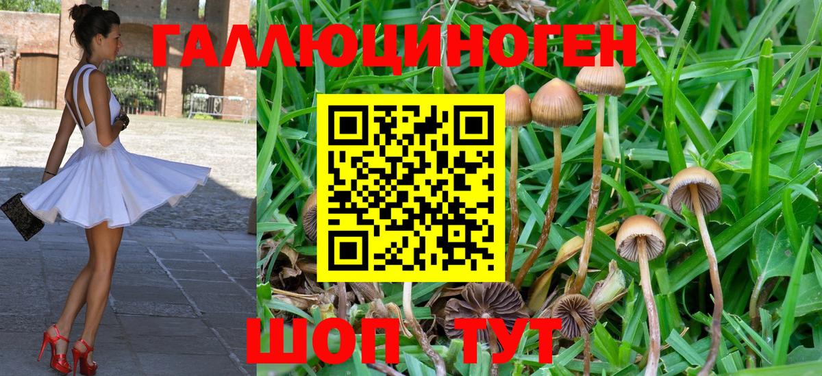 Псилоцибиновые грибы Magic Shrooms  Псилоцибиновые грибы мухоморы  Кыштым  Вход с VPN 